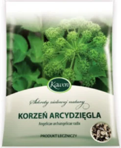Arcydzięgiel korzeń 50g Kawon