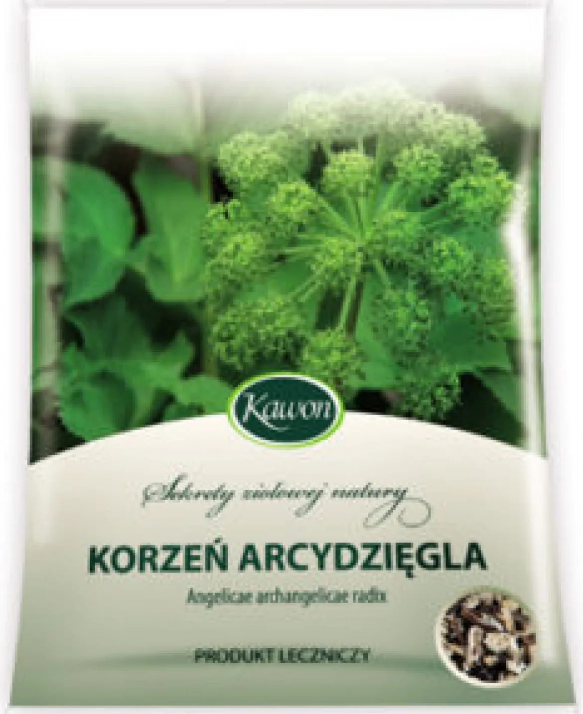Arcydzięgiel korzeń 50g Kawon