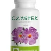 Czystek 60 kapsułek Alter Medica