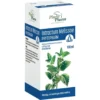 Intractum Melissae - Wyciąg z melisy 100g PhytoPharm