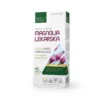 Magnolia Lekarska 40 kaps. Medica Herbs