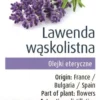 Olejek Eteryczny Lawenda Wąskolistna (Echte Lavendel) BIO 10ml Physalis