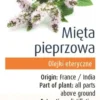 Olejek Eteryczny Mięta Pieprzowa (Pepermunt) BIO 10ml Physalis