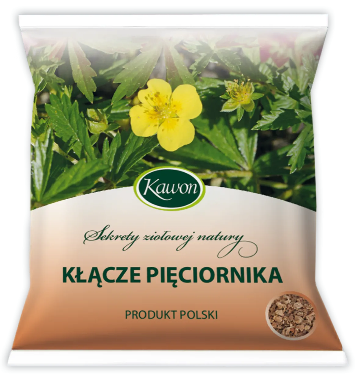 Pięciornik kłącze 50g Kawon