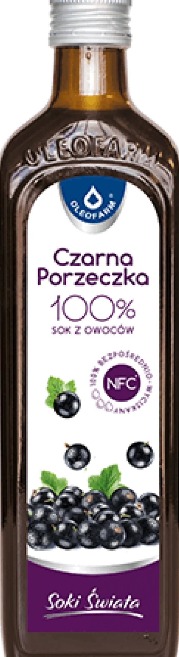 Sok z czarnej porzeczki RibesVital 490ml Oleofarm