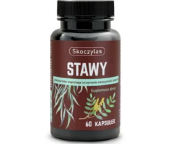 Stawy 60 kapsułek Skoczylas
