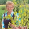 Stefania Korżawska Ziołowi Posłańcy Zdrowia