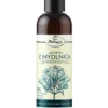 Szampon do włosów tłustych z mydlnicą 250ml Herbapol