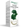 Tinctura Ginkgo Bilobae 100ml Herbapol