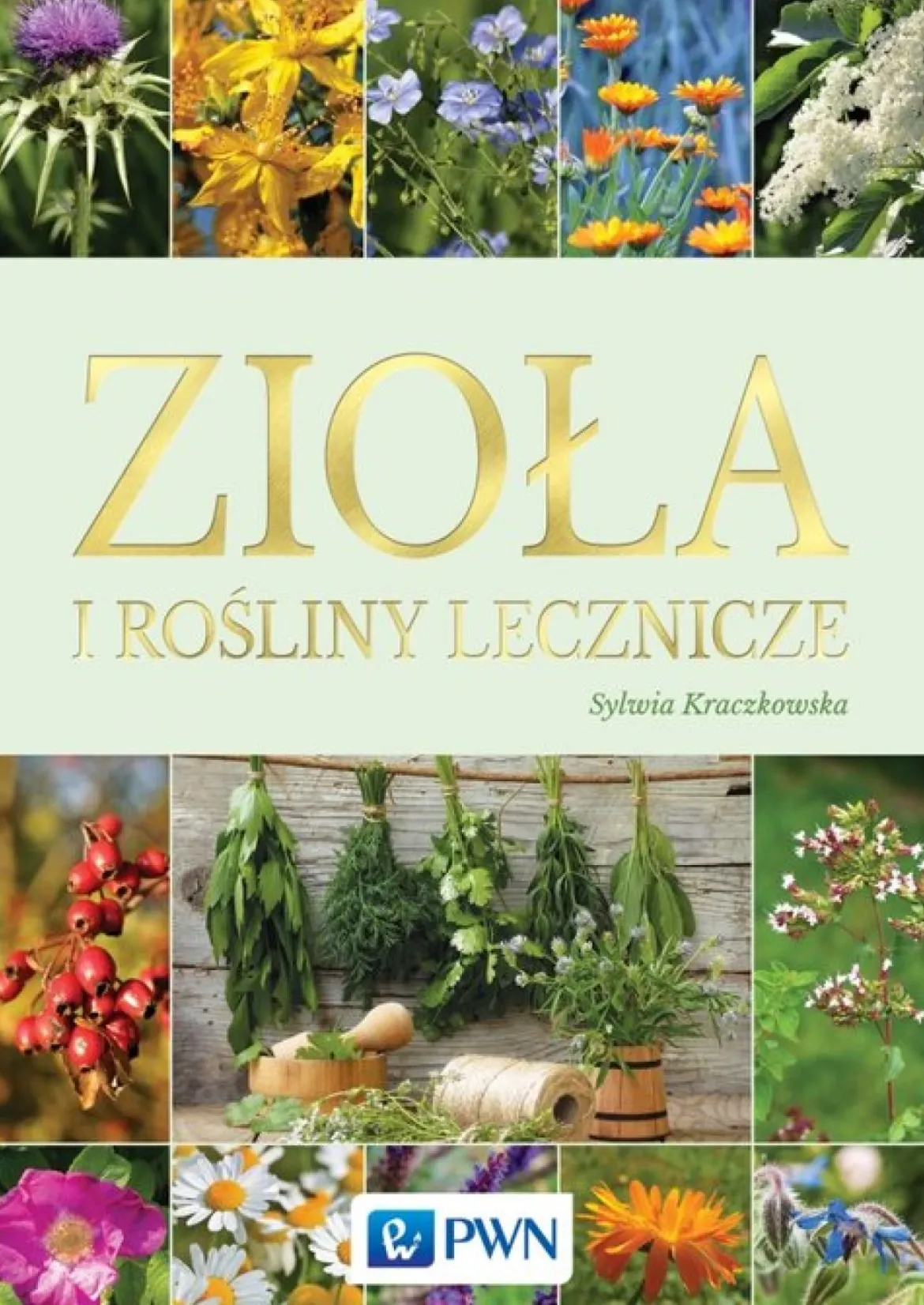 Zioła I Rośliny Lecznicze Sylwia Kraczkowska